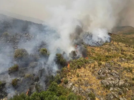 Forest fire in Portugal (Image/Reuters)