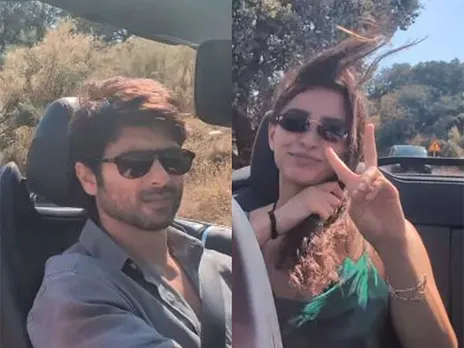 Shahid Kapoor, Triptii Dimri (Image Source: Instagram)