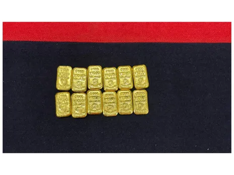 Seized gold (Photo/BSF)