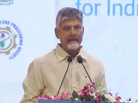 Andhra Pradesh Chief Minister Chandrababu Naidu (File Photo/ANI)