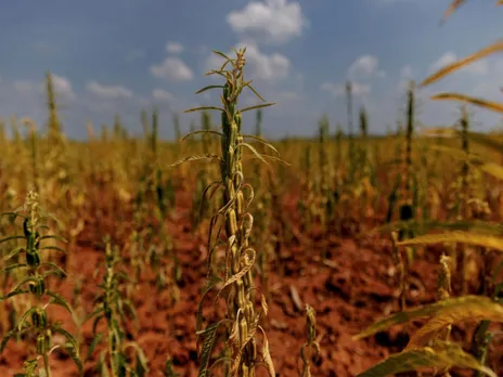 Representative Image (Photo/Reuters)