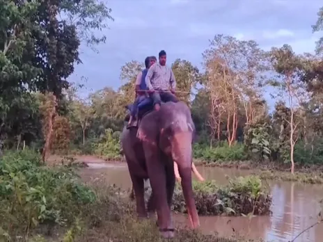 Visuals of the tourists being rescued by the Kumki elephant (Photo/ANI)