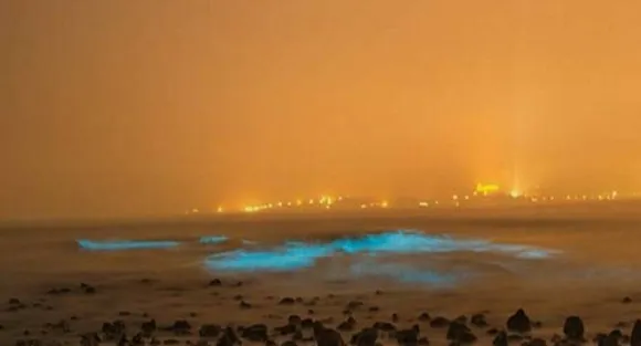 Head to Juhu Beach in Mumbai and spot 'Blue Waves' for the first time