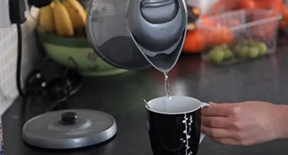 Bored of drinking tea? Now, chew it and feel refreshed!