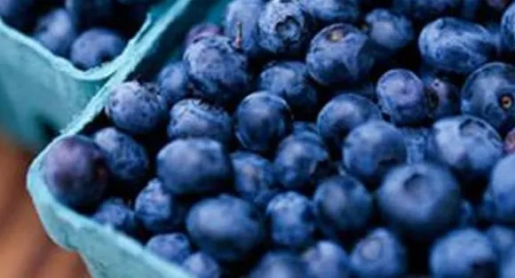 Blueberries may help fight Alzheimer's: study