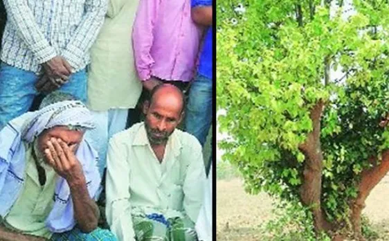 Jharkhand Killings: 'Gau raksha' activist among 5 held, sec 144 imposed