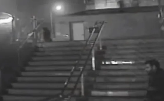 Stray dog stabbing: Delhi police access more footage; intesifies search