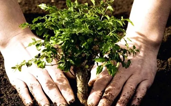 World Forest Day: Plant 10-15 trees during your lifetime to create 'Oxygen bank', says Prakash Javadekar
