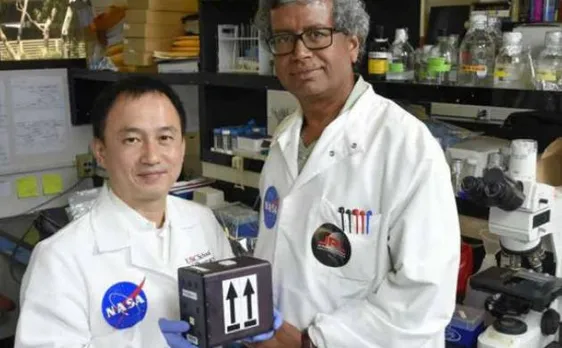 NASA sends Fungi to ISS in an attempt to develop new drugs