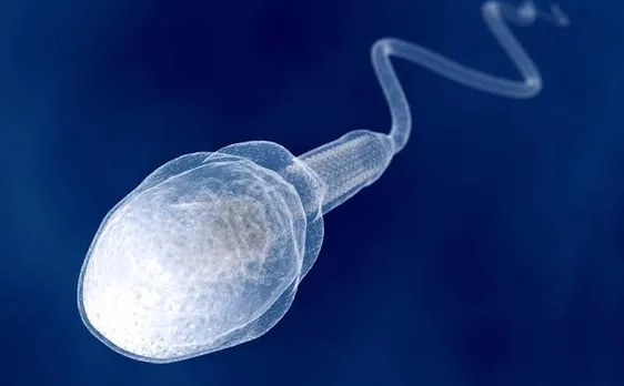 UV-filtering chemicals in sunscreens may interfere with sperm function in males