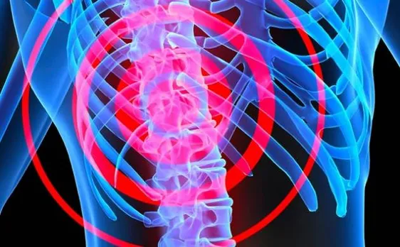 Stem cells may help treat spinal cord injuries