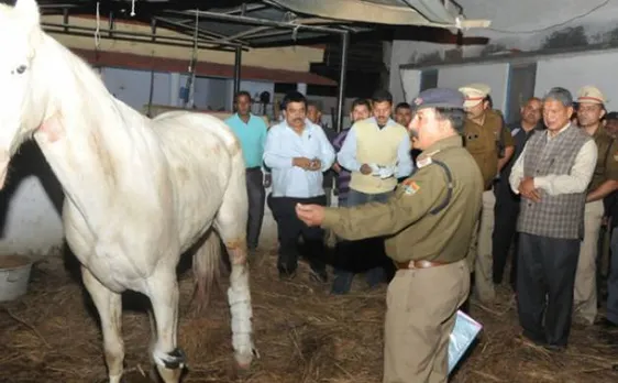 Uttarakhand Police horse Shaktimaan, injured during BJP protest, dies