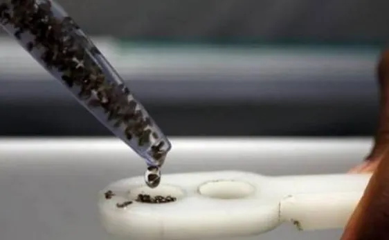 Disease experts to compare Zika notes in Paris 