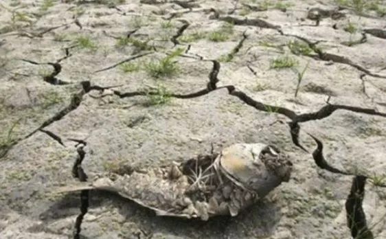 No dearth of funds to tackle drought in Andhra Pradesh: Minister