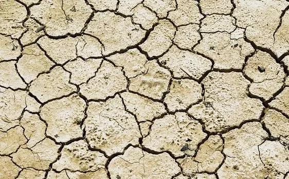 357 mandals declared drought-hit in Andhra Pradesh: Minister