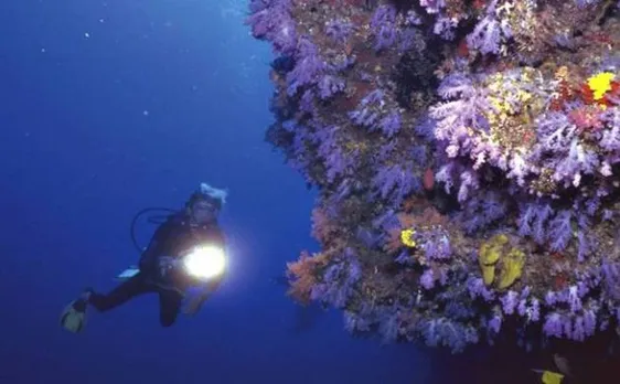 Loss of ocean oxygen to become widespread by 2030s: Study