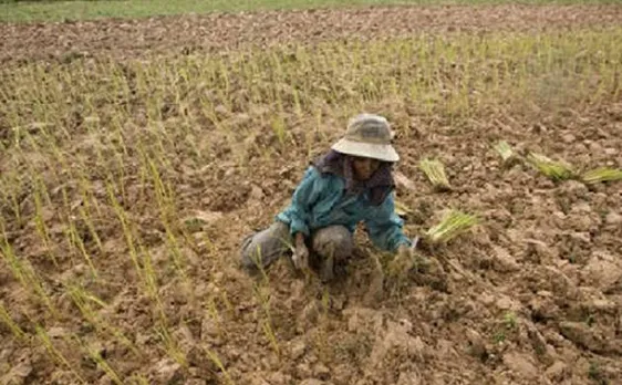 El Nino droughts may get even worse in Asia as fear looms of sister La Nina