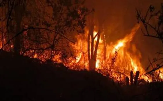 Forest fire claims 5 lives; NDRF forces deployed to control