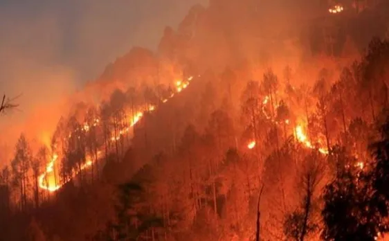 Uttarakhand Forest Fires: Mi 17 choppers to spray water 