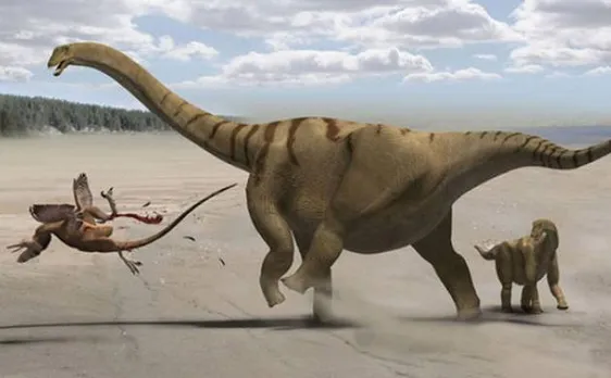 Guess what? Baby sauropod dinosaurs did not require parental care