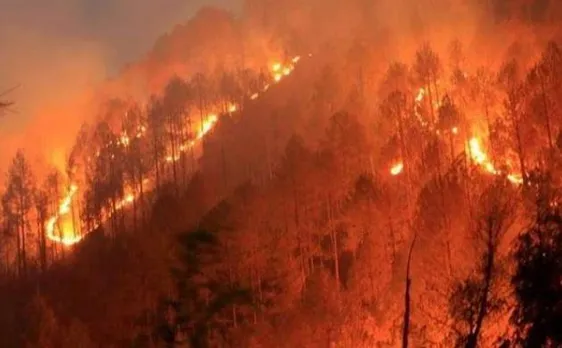 Uttarakhand fire: Affected areas down by over 70 pc, says NDRF