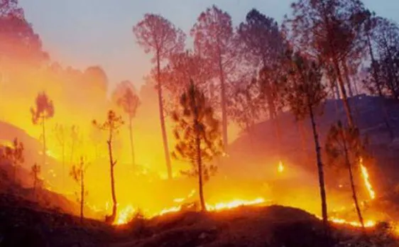 Forest fires: NGT issues show cause notices to Uttarakhand, HP