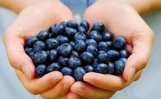 Eat these super foods to boost your mental performance