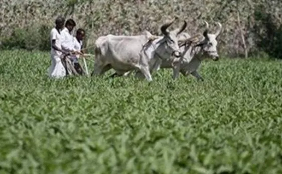 Gujarat saw 95 pc crop production, meeting chaired by PM Modi told