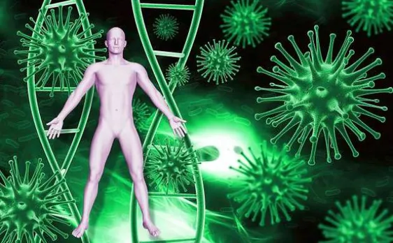  Researchers says, borrowing immune cells likely solution to fight cancer
