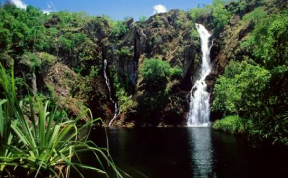 On International Biodiversity Day: World calls for preservation of mother nature