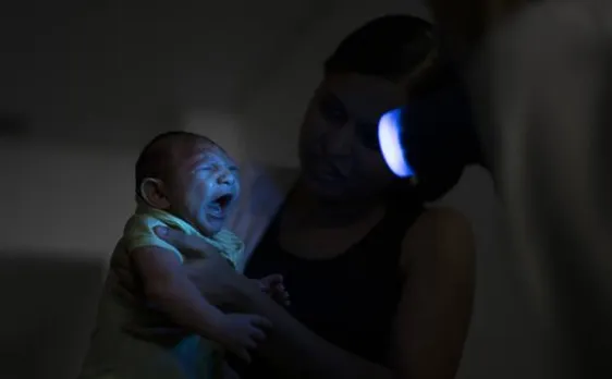 Can Zika virus infect in immune cells from the placenta ?
