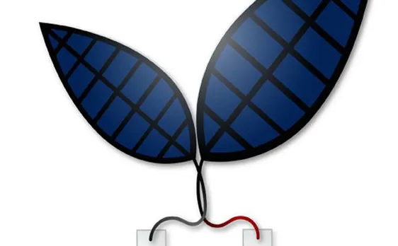 New bionic leaf turns sunlight into liquid fuel, say scientists