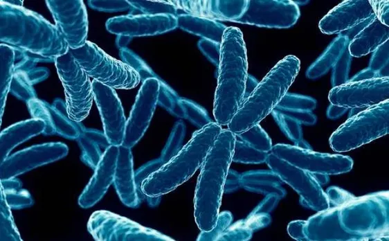 Scientists decode crucial X-files DNA mystery