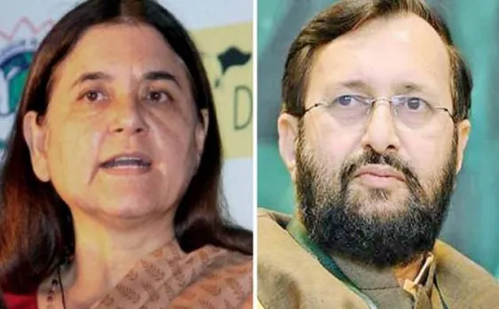 Maneka, Javadekar lock horns on culling of animals