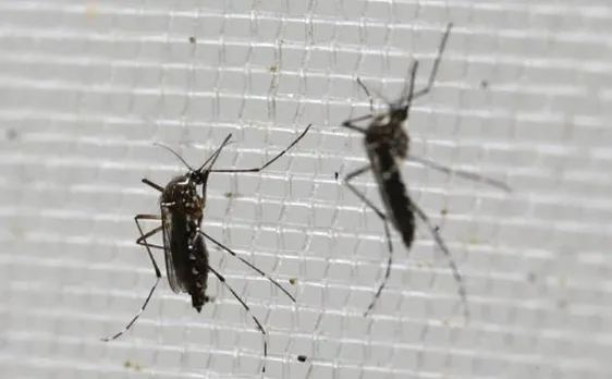 Scientists develop portable, cost-effective Zika virus symptom detection kit