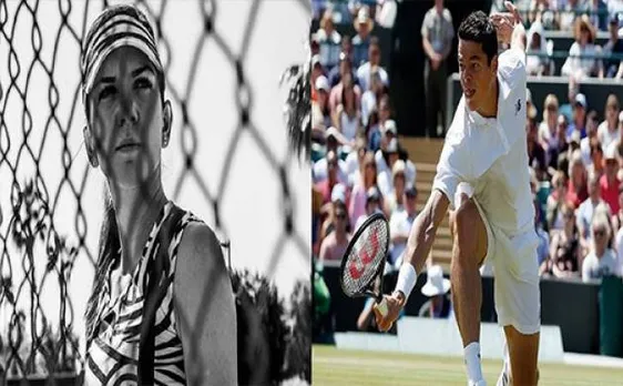 Raonic, Halep out of Olympics over Zika