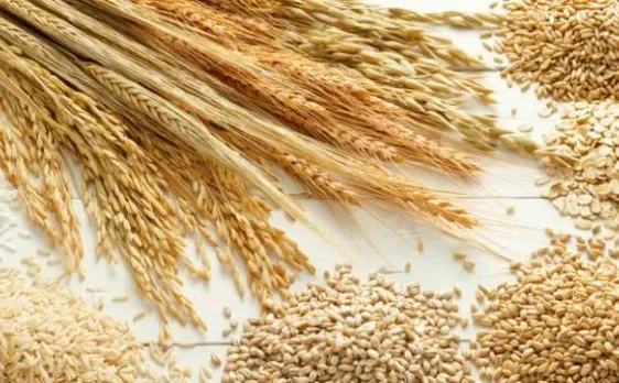  Did you know the mysterious tale behind the 6000 years old chalcolithic barley grains?