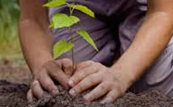  India enters Guinness world record leaving Pakistan behind, after successfull plantation of over 50 million trees in 24 hours 