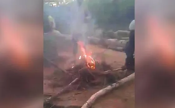 Hyderabad boys burn 3 puppies alive, post video on Facebook