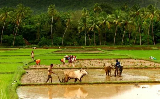 USD 37-mn grant for sustainable agriculture project