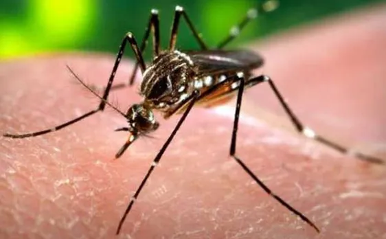 Delhi: Dengue death toll rises to 4, over 300 cases reported so far