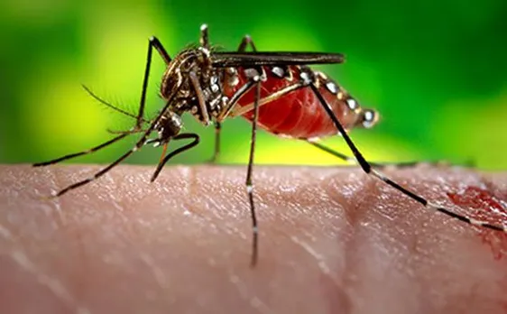 13 Indians in Singapore test positive for Zika, reports Indian Embassy in Singapore