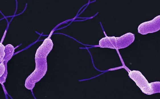 Immunotherapy can destroy majority of dormant cancer cells