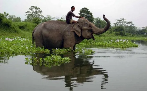 Awesome Assam: Govt allocates Rs 15 crore to promote tourism
