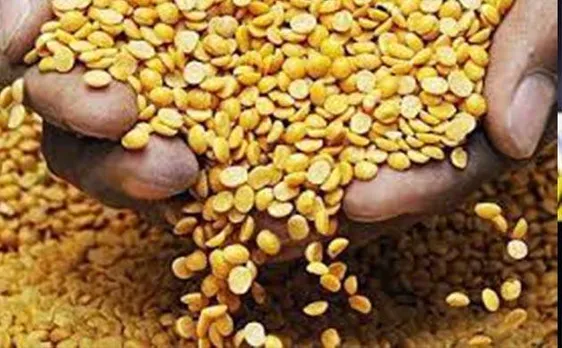 Govt to raise buffer stock for pulses to keep prices stable 