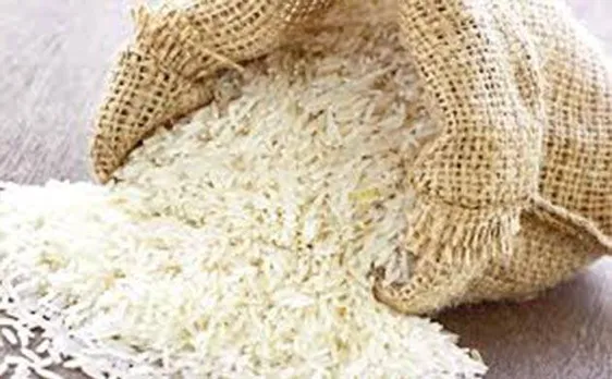 US finds worldâ€™s most destructive insect in rice from Pakistan