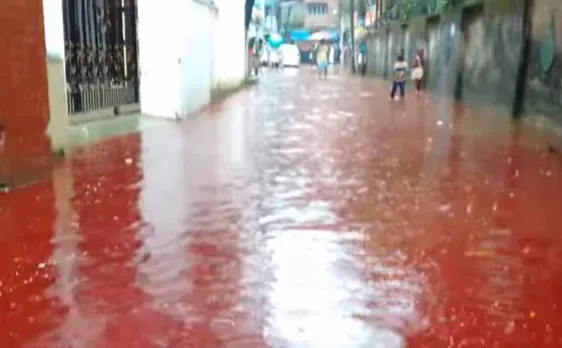 Watch: Large-scale animal sacrifices, heavy rains turn Dhaka streets into rivers of blood