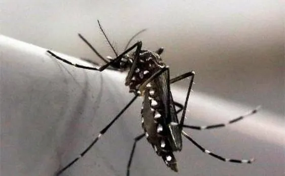 Screening for Zika virus at Ahmedabad airport after advisory from the Centre