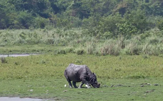 2 killed, 5 injured in an open fire made by police near Kaziranga National Park 