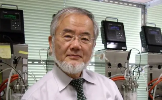 Japan's Yoshinori Ohsumi wins Nobel Medicine Prize